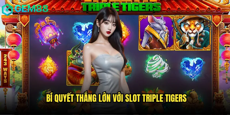 Bí quyết thắng lớn với Slot Triple Tigers